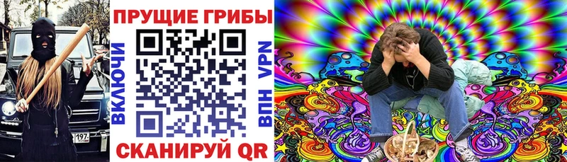 mega как войти  Артём  Псилоцибиновые грибы мицелий 